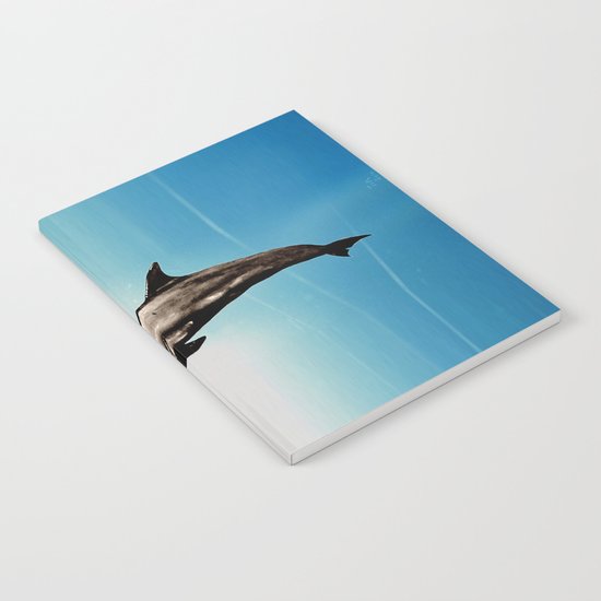 The DOLPHIN - ZEN version Notebook