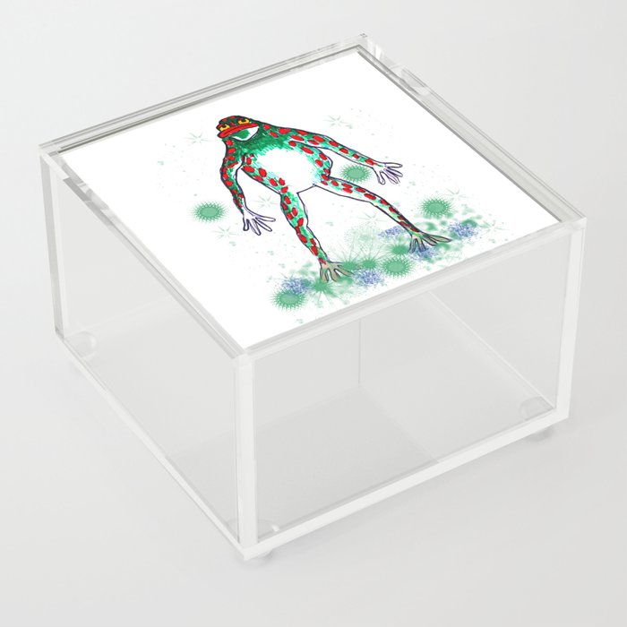 Space green spotted frog cottage core hand drawing Acrylic Box