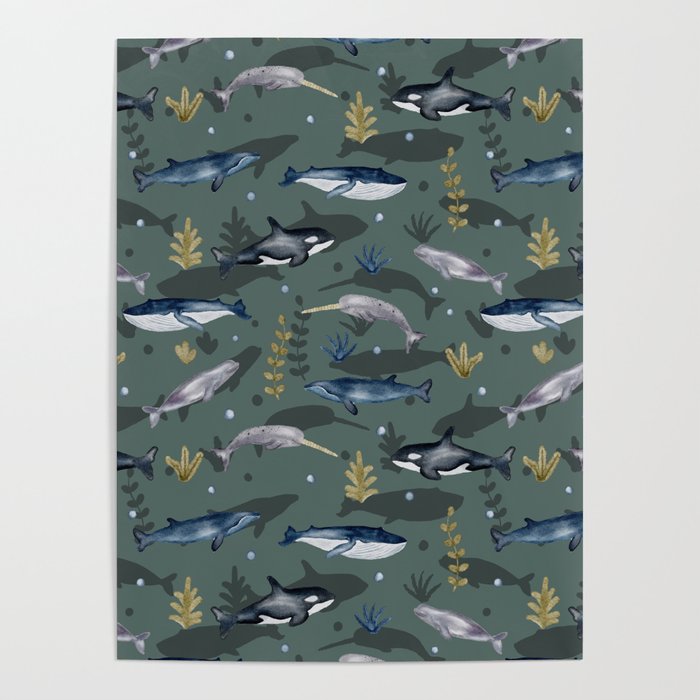 Whales Underwater  Poster