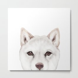 shiba inu white Dog original painting print Metal Print | Fluffy, Popart, Veterinarian, Adaption, Shibainu, Adorable, Shop, White, Pet, Puppy 