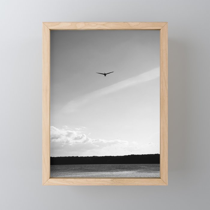 As the Lonely Bird Soars Framed Mini Art Print