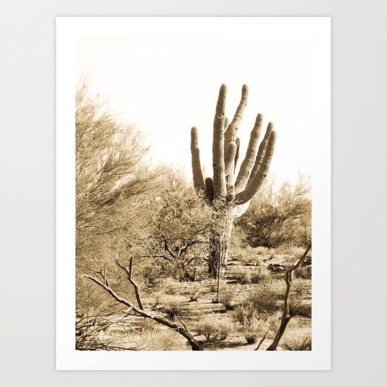 Saguaro Art Print