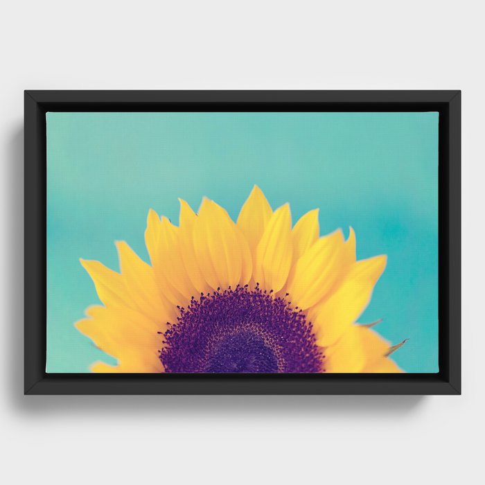 Sunflower Framed Canvas