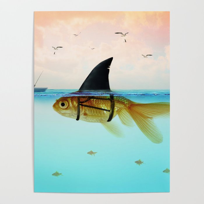 goldfish with a shark fin Poster