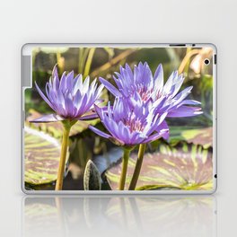 Lavender Lotus Laptop & iPad Skin