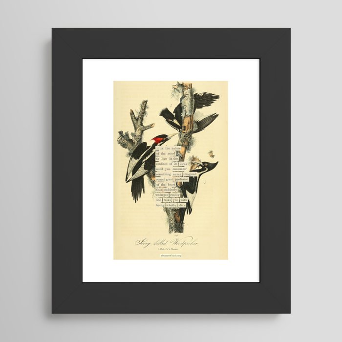 Framed Art Print