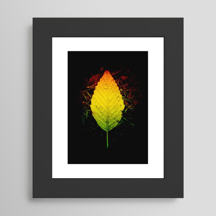Framed Art Print
