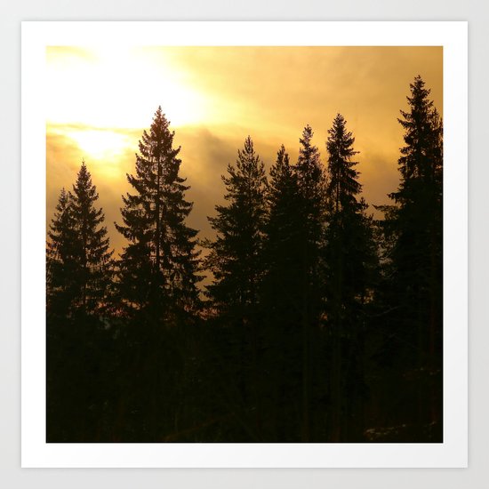 Forest At Morning Art Print