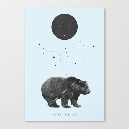 Ursa Major Canvas Print