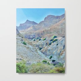 A Mountain's Comfort Metal Print | Pamelastorch, Travel, Mountain, Israel, Hills, Eingedi, Bushes, Deserts, Middleeast, Naturereserve 