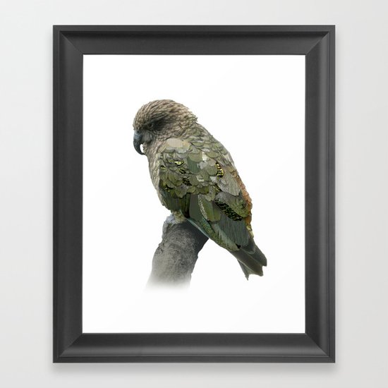 Kea Pattern Framed Art Print