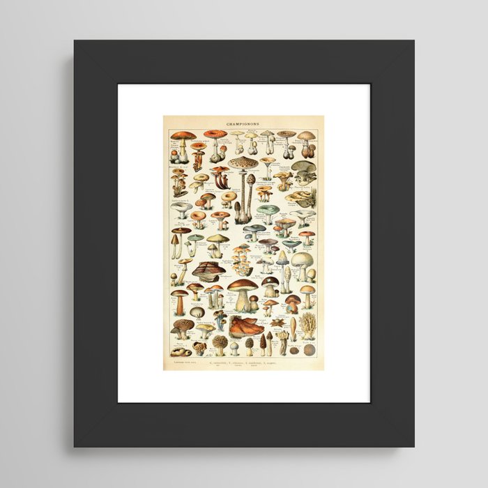 Framed Art Print