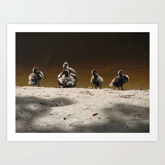 Ducks on the river Art Print