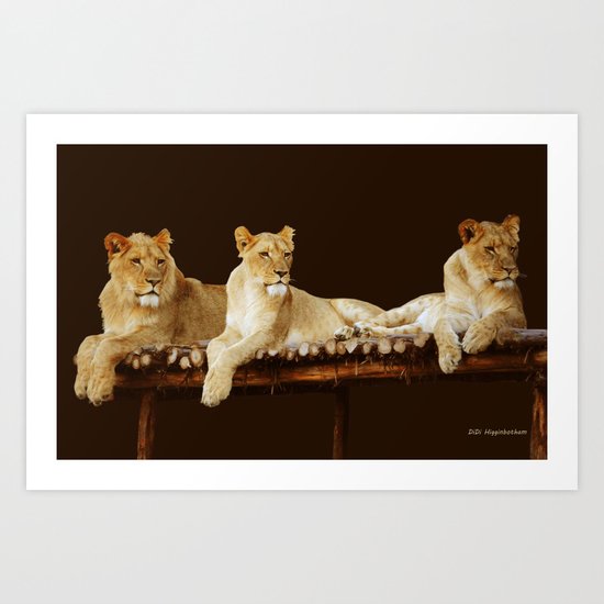 EYES LEFT Art Print