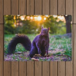 Golden Hour Eastern Gray Squirrel Photograph Outdoor Rug