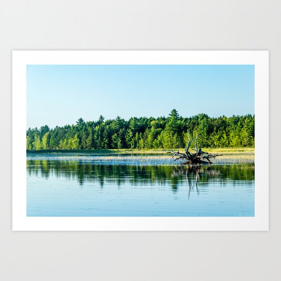Driftwood Reflection Art Print