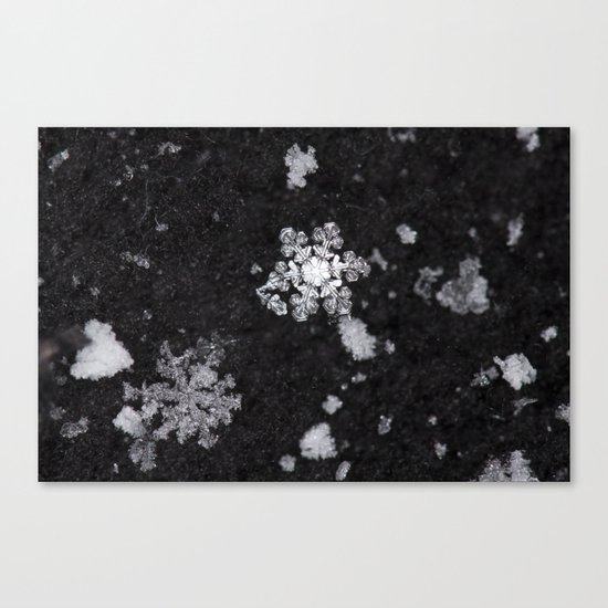 Snowflakes Canvas Print