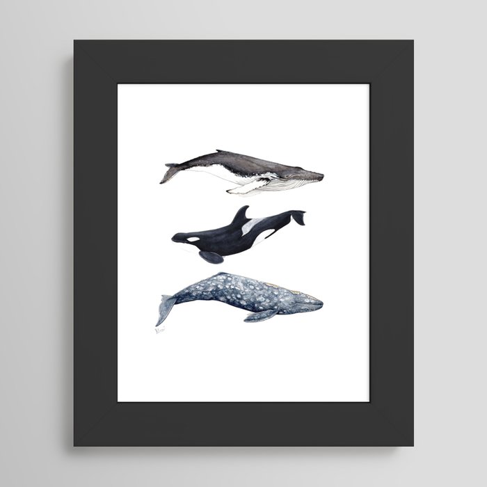 Framed Art Print