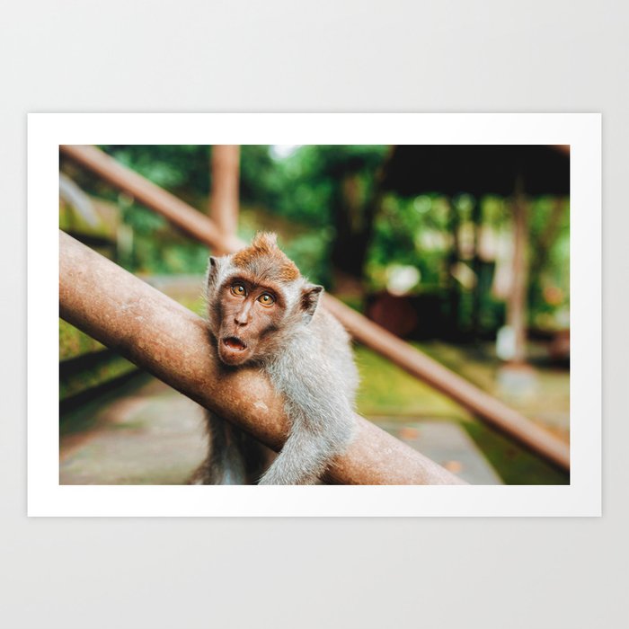 Cute Monkey Color Art Print By Nocolordesigns Society6