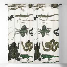 Collection of Various Reptiles  Blackout Curtain