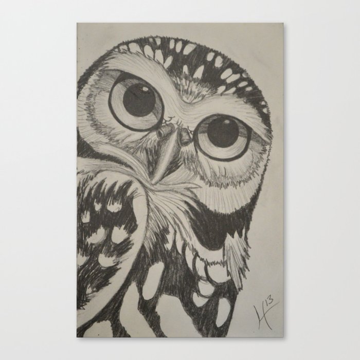 Owl  Canvas Print