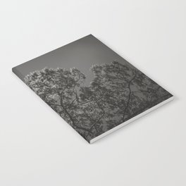 Jungle Leaves - Black and White - Real Tree #4 Notebook