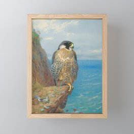 Peregrine at Auchencairn by Archibald Thorburn, 1923 (benefitting The Nature Conservancy) Framed Mini Art Print