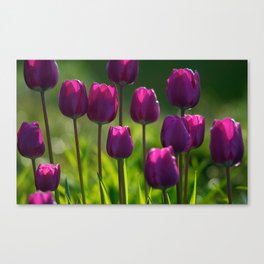 Fascinating Gracious Pretty Lilac Blossom Bouquet UHD Canvas Print