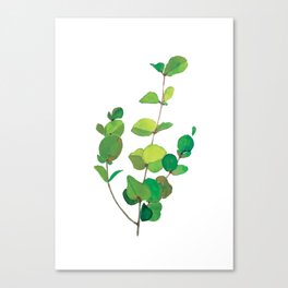 Botanic Watercolour: Eucalyptus Canvas Print