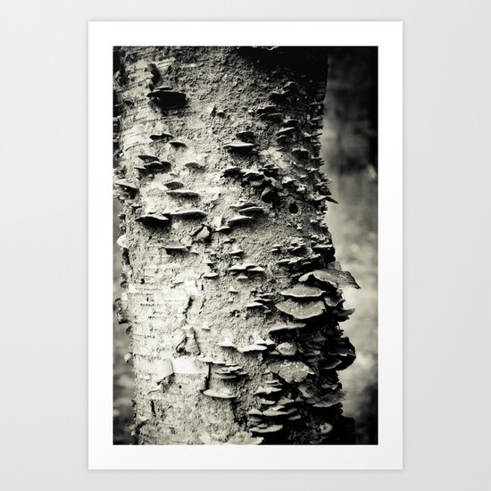 Study In Nature Art Print