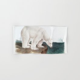 Polar Bear (Ursus maritimus) from the viviparous quadrupeds of North America (1845) illustrated by John Woodhouse Audubon Hand & Bath Towel