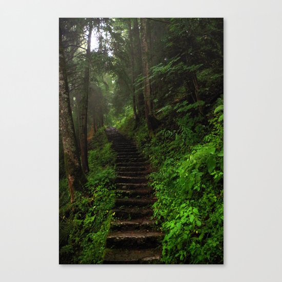 stairway. Canvas Print