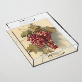  Grapes Against White Wall - Edwin Deakin Acrylic Tray