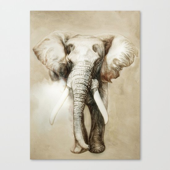 Elephant Canvas Print