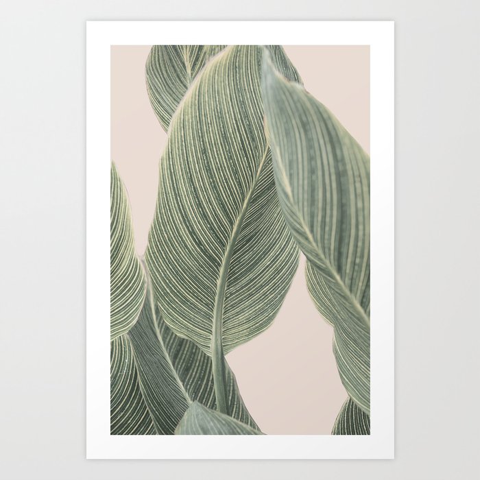 Calah Art Print