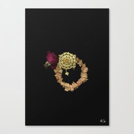 motia Canvas Print