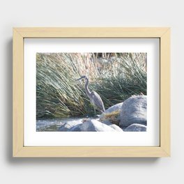 Birds of the Los Angeles River Recessed Framed Print