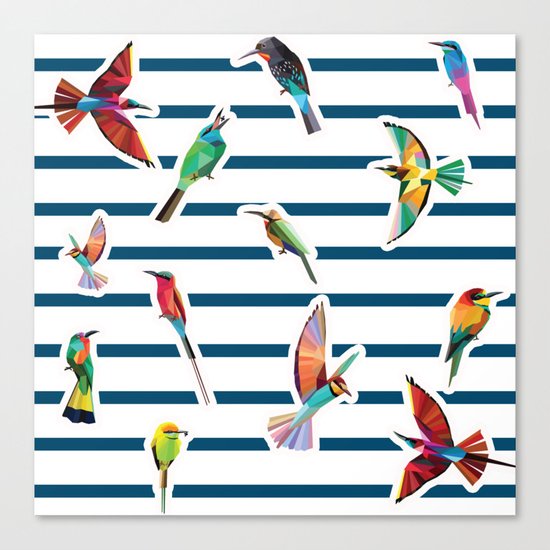 birds Canvas Print