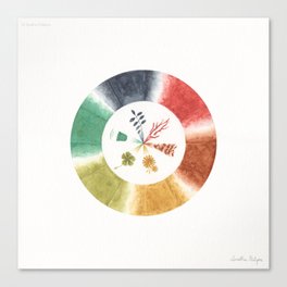 Colour Wheel 3 Canvas Print