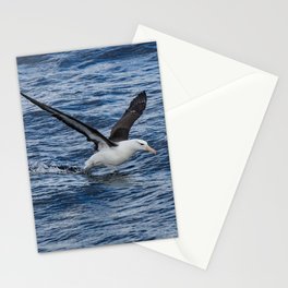 Argentina Photography - Black-browed Albatross Flying Close To The Water Stationery Card