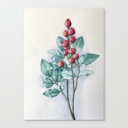 Wintergreen Canvas Print