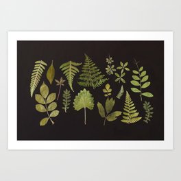 Plants + Leaves 5 Art Print