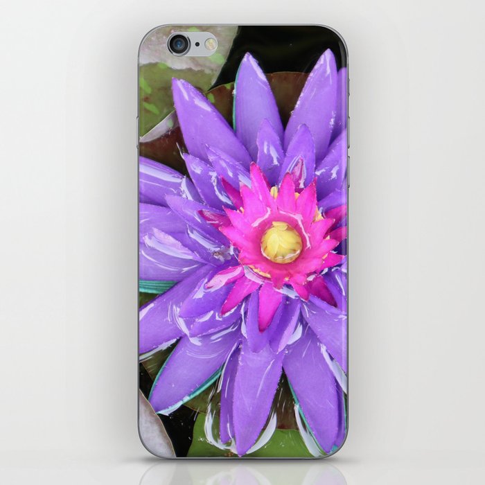 Purple turquoise aquatic waterlily lotus flower in full bloom water in Thailand iPhone Skin