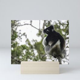 Indri - Madagascar Mini Art Print