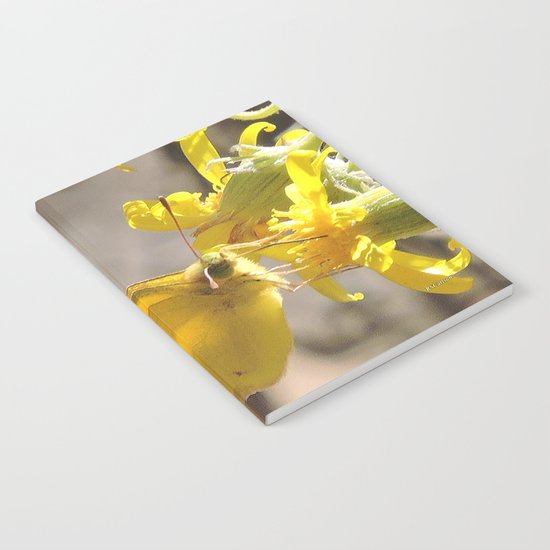 Sulphur Butterfly Imbibing Notebook