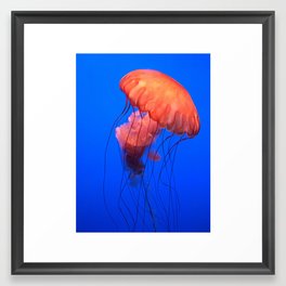 u jelly Framed Art Print