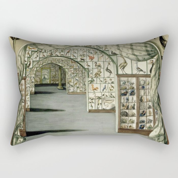 Museum of Curiosities Rectangular Pillow