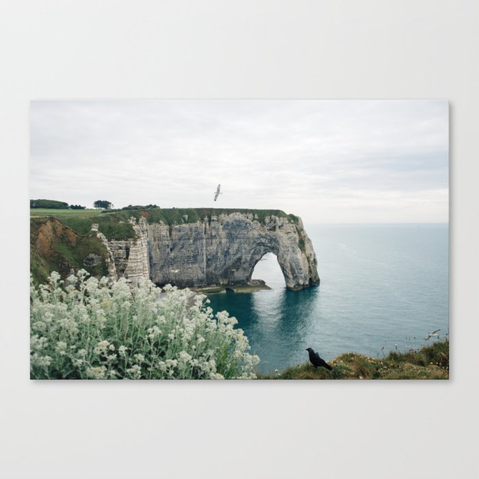 Blue Ocean Etretat cliffs with seagull Normandy, France - Travel Photography fine art wall print Canvas Print