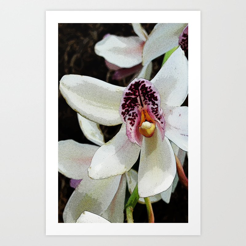 Pop Art Orchid Art Print By Maitribb Society6