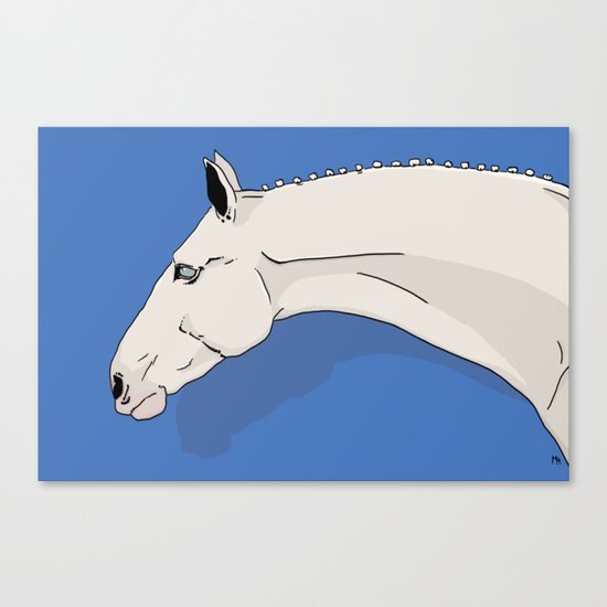 Blue Eyes Canvas Print